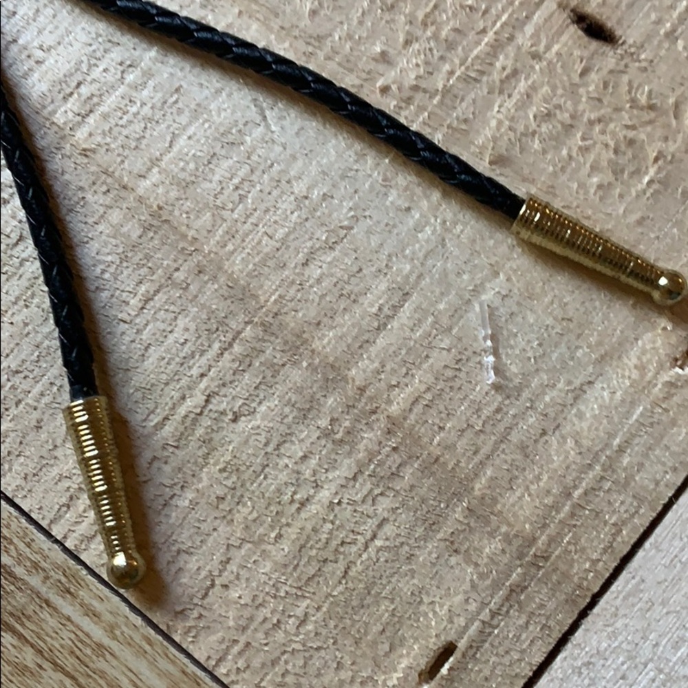 *NEW* Gold tone Feathers Bolo Western Tie - Picture 3 of 4